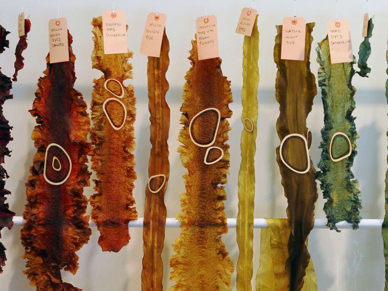 Seaweed dyed with biomaterials. 