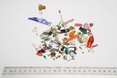 Zuse-Gemeinschaft: Plastik in der Umwelt vermeiden
